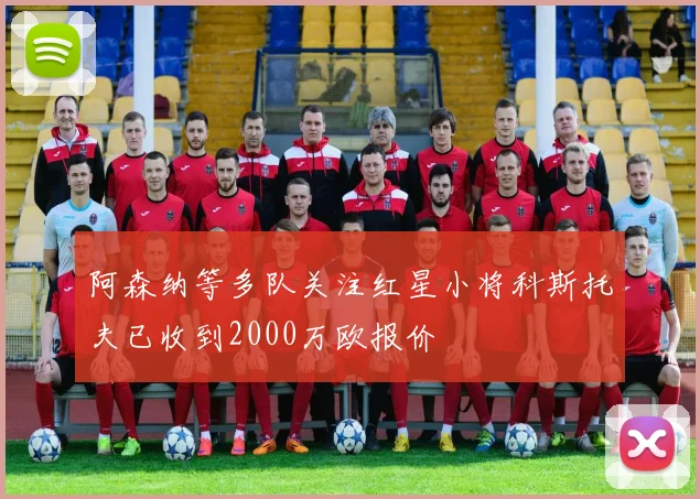 阿森纳等多队关注红星小将科斯托夫已收到2000万欧报价